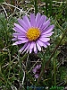 Campo Imperatore-photogallery-P1040870+.jpg